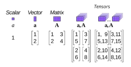 scalar, vector, matrix, tensor